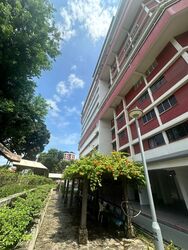 Blk 248 Hougang Avenue 3 (Hougang), HDB 3 Rooms #572223901